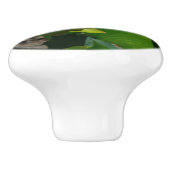 蓮の花I セラミックノブ (側面)