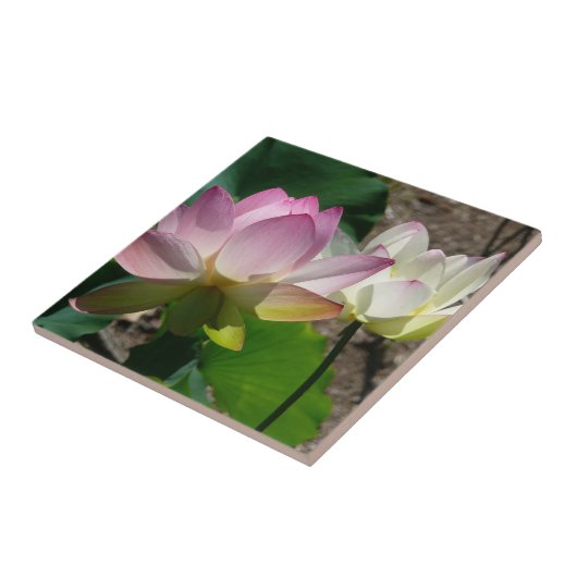 蓮の花I タイル (側面)