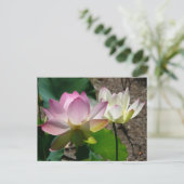 蓮の花I ポストカード (スタンド正面)
