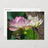 蓮の花I ポストカード (正面/裏面)