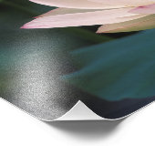 蓮の花in花中国 フォトプリント            (角)