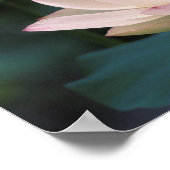 蓮の花in花中国 ポスター (角)