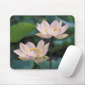 蓮の花in花中国 マウスパッド (マウス)