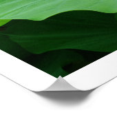 蓮の葉雨水：日本 ポスター (角)