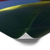 *~*蓮カラフル池トンフライブルー ポスター (角)