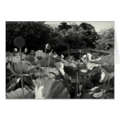 蓮日本の池カード (正面横)