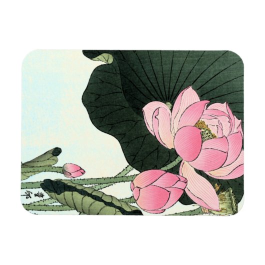 蓮日本の花 – ヴィンテージファインアート磁石 マグネット (横)