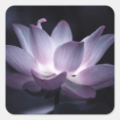 蓮白熱［赤熱］光を放つ花飾花の写真 スクエアシール (正面)