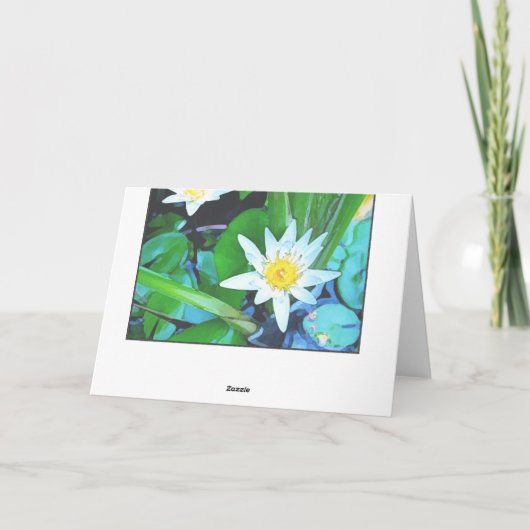 蓮花2枚グリーティングカード カード (裏面)