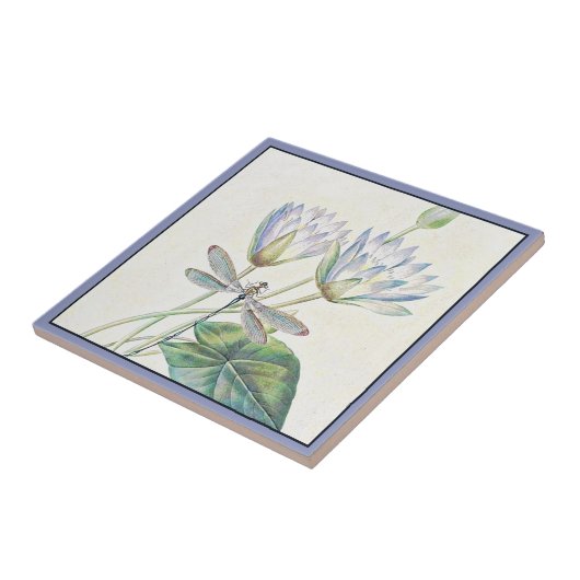 蓮華陶磁瓦 タイル (側面)