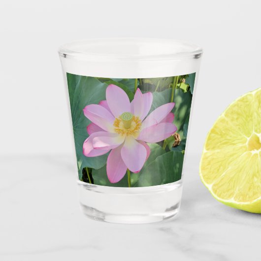 蓮鮮やかの花 ショットグラス (正面)