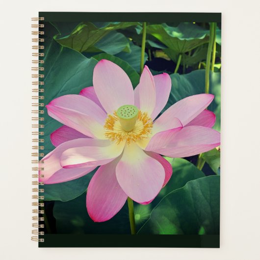 蓮鮮やかの花 プランナー手帳 (正面)
