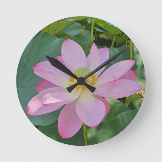 蓮鮮やかの花 ラウンド壁時計 (正面)