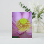 蓮 ポストカード (スタンド正面)