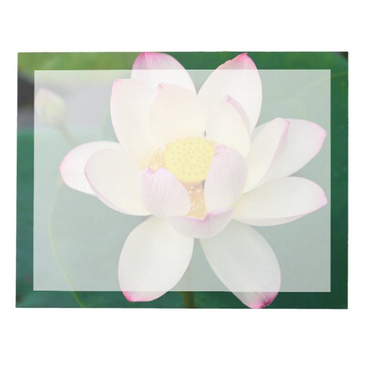 蓮 水の花 | 花 ノートパッド (正面)