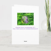 蔦に覆われた窓から生まれた藤» カード (裏面)