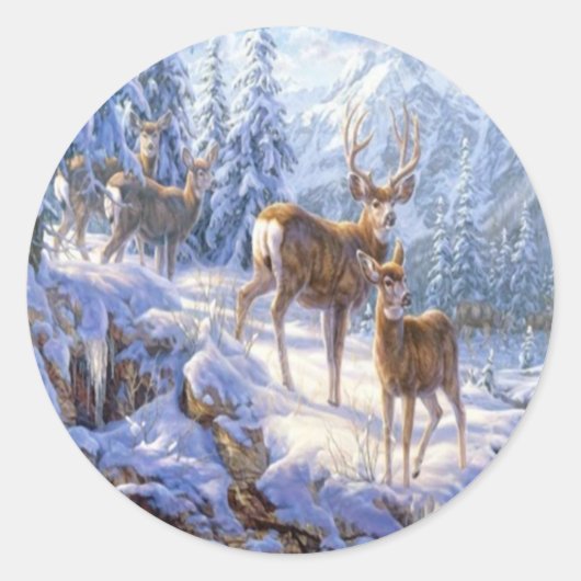 蔵書票とラベル ラウンドシール (正面)