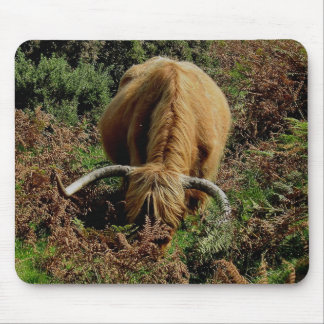 蕨で牧草を食べているDartmoorの高地牛 マウスパッド