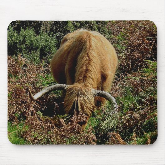 蕨で牧草を食べているDartmoorの高地牛 マウスパッド (正面)