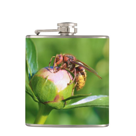 蕾の花のヨーロッパの角根 フラスク (正面)