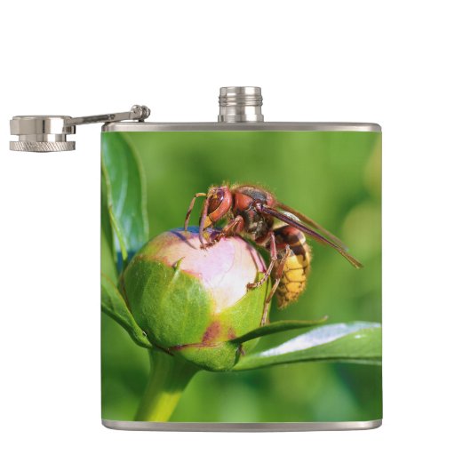 蕾の花のヨーロッパの角根 フラスク (オープン)