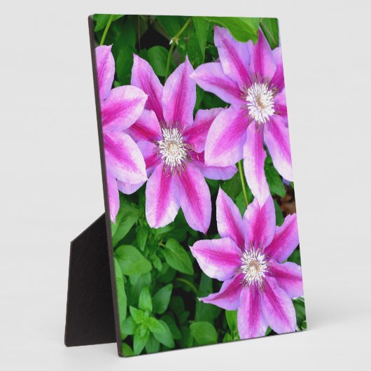 薄いエレガントピンクの紫の花模様boho植物学 フォトプラーク (側面)