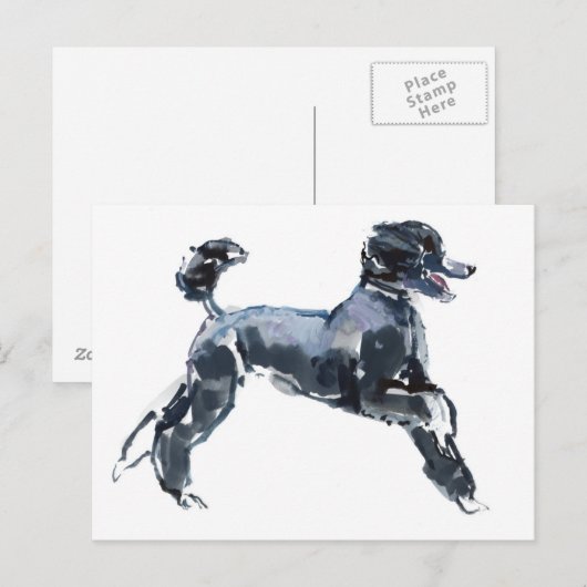 薄いクラス2013年 ポストカード (正面/裏面)