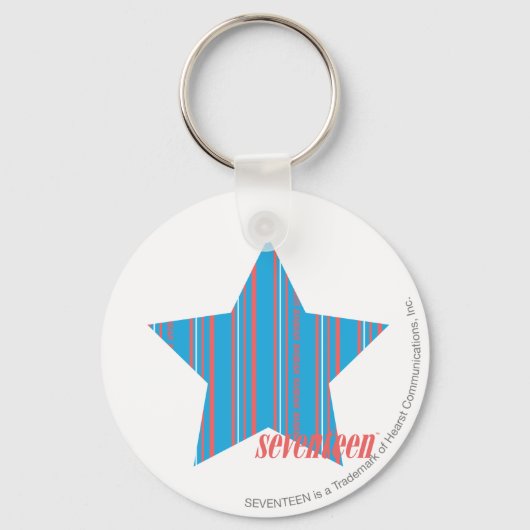 薄いストライプアクア2 キーホルダー (正面)