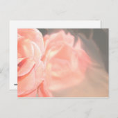 薄いピンクのバラ反射（シルバー） ポストカード (正面/裏面)