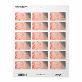 薄いピンクのバラ反射（シルバー） ラベル (フルシート)