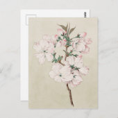薄いピンクのフローラ ポストカード (正面/裏面)