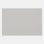 薄いフランスのグレー無地のカラー ラッピングペーパーシート (正面)