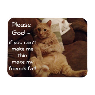 薄いフレキシブル磁石にする マグネット