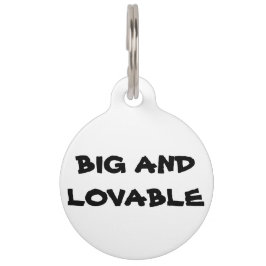 薄いブルーライン ペット　ネームタグ