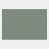 薄い緑のフレッチャー無地の ラッピングペーパーシート (正面2)