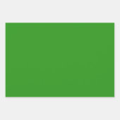 薄い緑無地の色 ラッピングペーパーシート (正面)