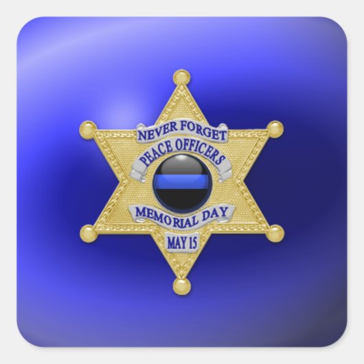 薄い青い線の1種類 スクエアシール (正面)