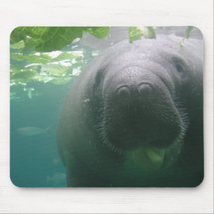 薄く水っぽいマナティーのmousepad マウスパッド