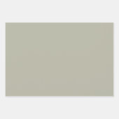 薄エレガントい灰色の緑のミニマリストとシック ラッピングペーパーシート (正面3)