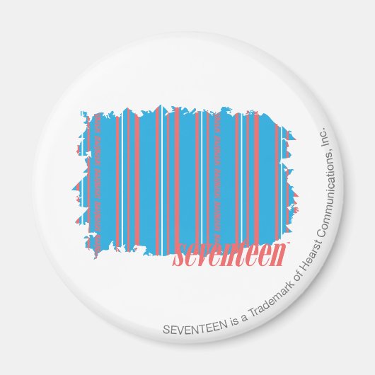 薄型ストライプアクア4 マグネット (正面)