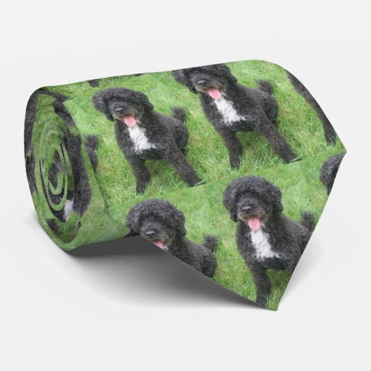 薄小浜 ネクタイ (ロール)