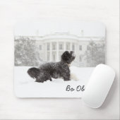 薄小浜 マウスパッド (マウス)