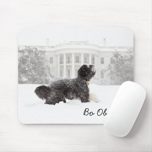 薄小浜 マウスパッド (マウス)