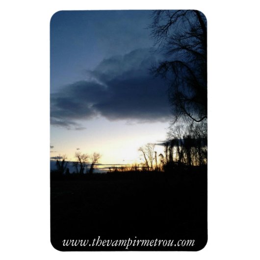 薄明磁石*カスタマイズ可能* マグネット (縦)