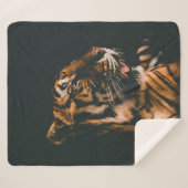 薄暗い明かりのついた部屋の中に横たわる成人の虎 シェルパブランケット (正面(横))