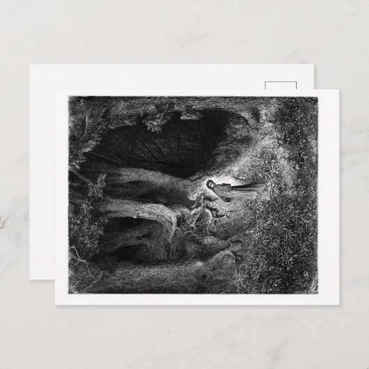 薄暗い森の中で ポストカード (正面/裏面)