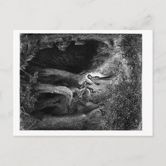 薄暗い森の中で ポストカード (正面)