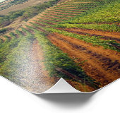 薄暗い空のトスカーナ畑の写真 フォトプリント            (角)