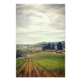 薄暗い空のトスカーナ畑の写真 フォトプリント           