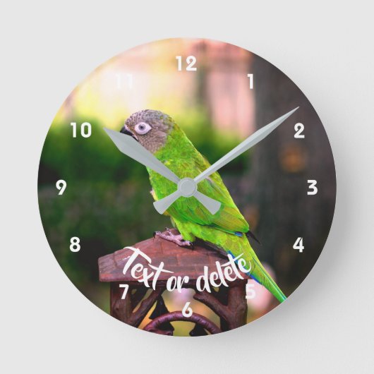 薄暗い頭のオウムパーソナライズされた病 ラウンド壁時計 (正面)